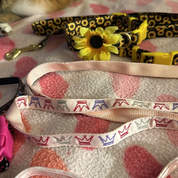 Colorful Dog Leashes Set - Picture 6 of 6